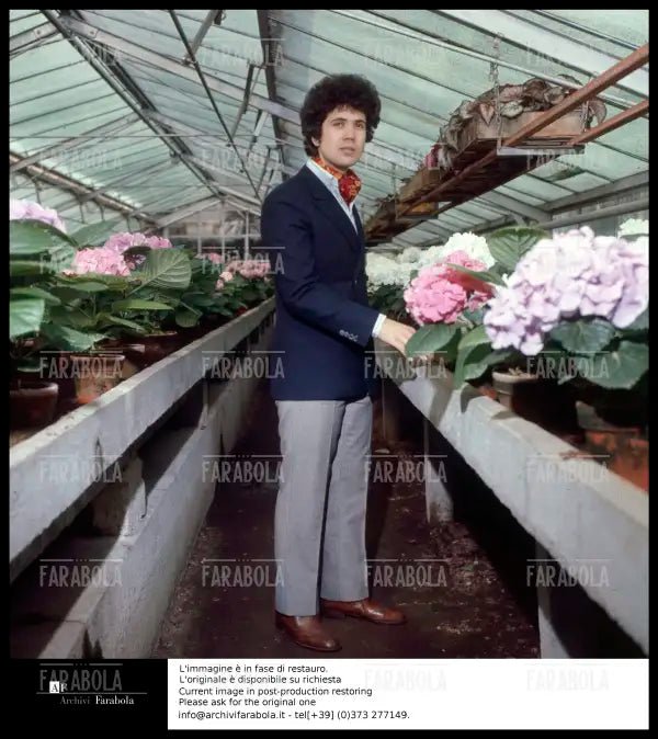 Lucio Battisti, anni 60 - Farabola Immagine digitale