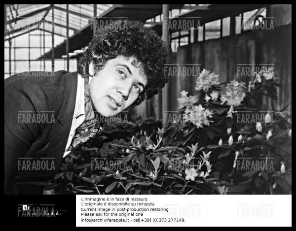 Lucio Battisti, anni 60 - Farabola Immagine digitale