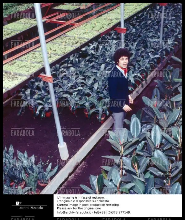 Lucio Battisti, anni 60 - Farabola Immagine digitale