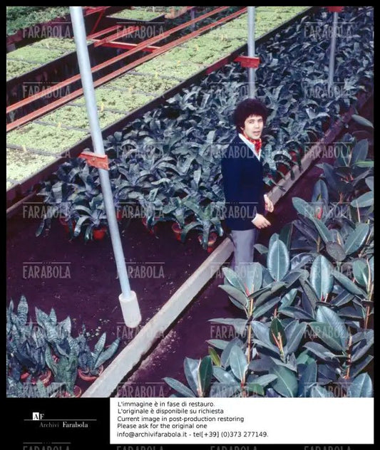 Lucio Battisti, anni 60 - Farabola Immagine digitale