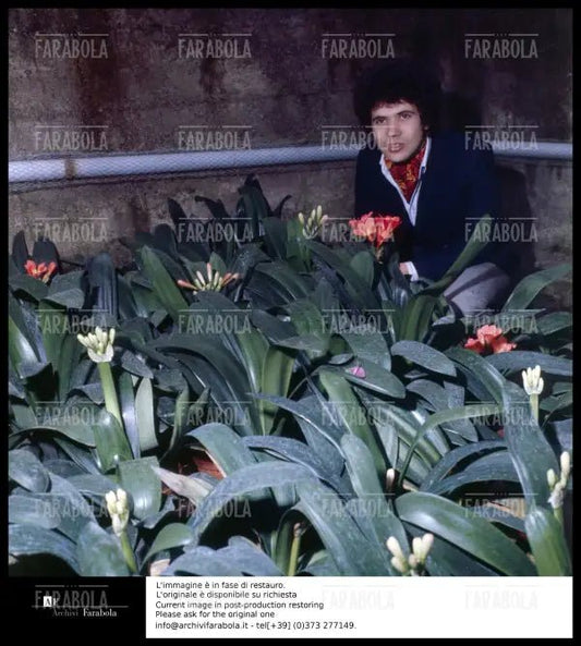 Lucio Battisti, anni 60 - Farabola Immagine digitale