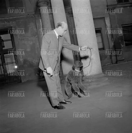 Lucio Fontana con il suo cane, Milano, 1959 - Farabola Immagine digitale