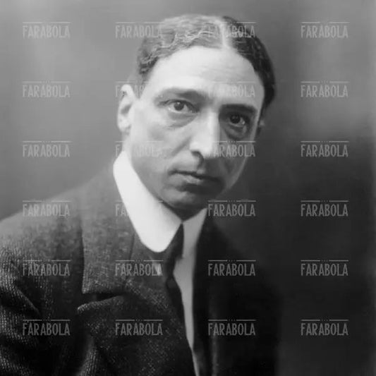 Luigi Barzini, 1914 - Farabola Immagine digitale