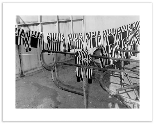 Maglie della Juventus ad asciugare, 1951 - Farabola Fotografia