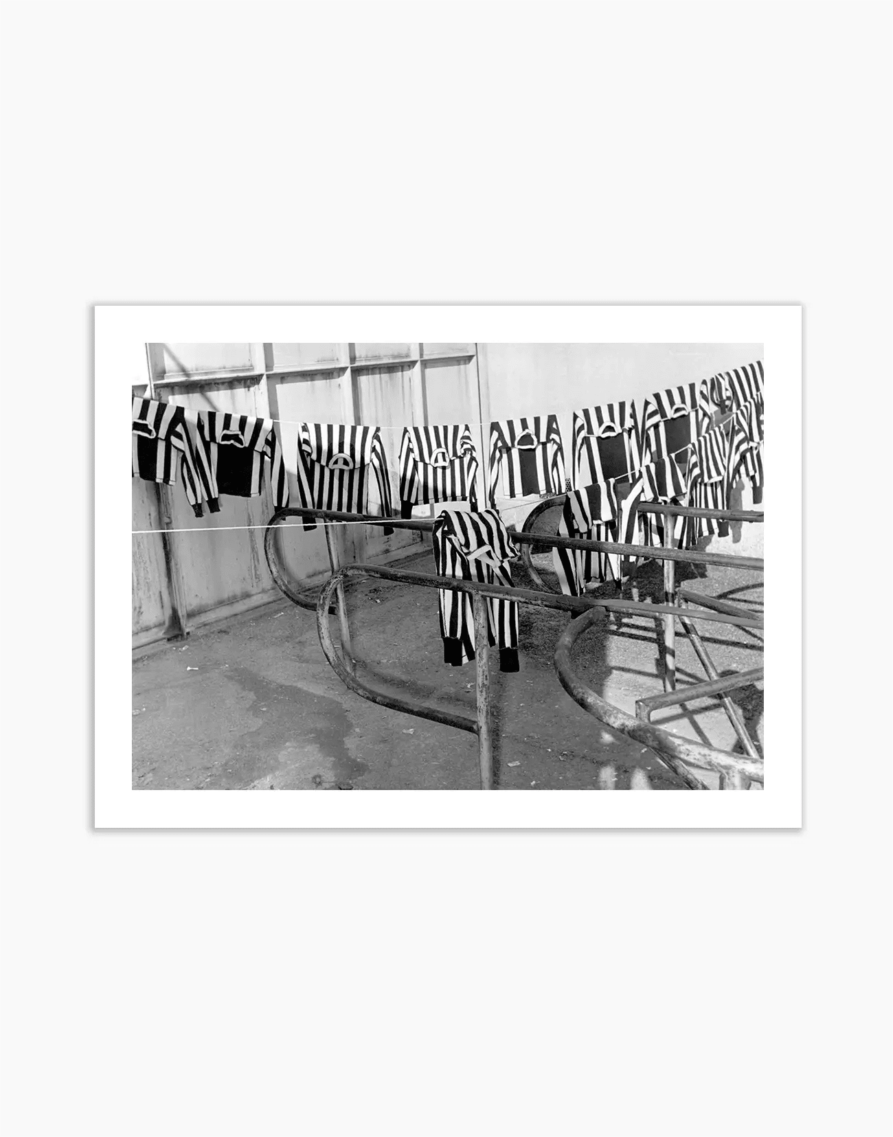 Maglie della Juventus ad asciugare, 1951 - Farabola WhiteWall App Product