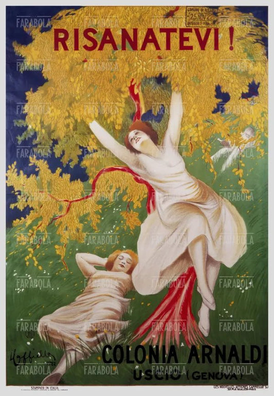 Manifesto pubblicitario della colonia Arnaldi, 1922 - Farabola Immagine digitale