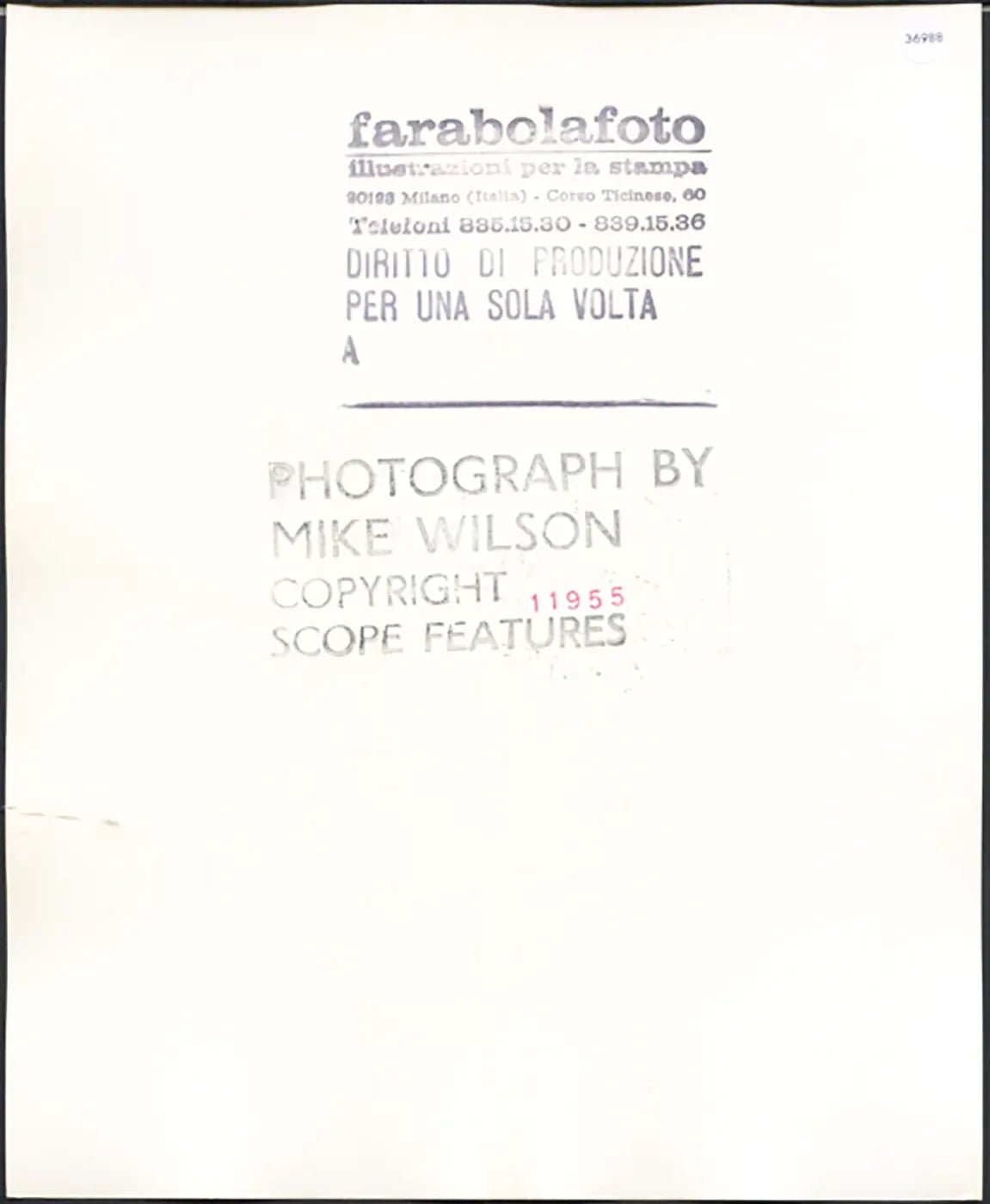 Modella anni 80 Ft 36988 - Stampa 20x25 cm - Farabola Stampa ai sali d'argento