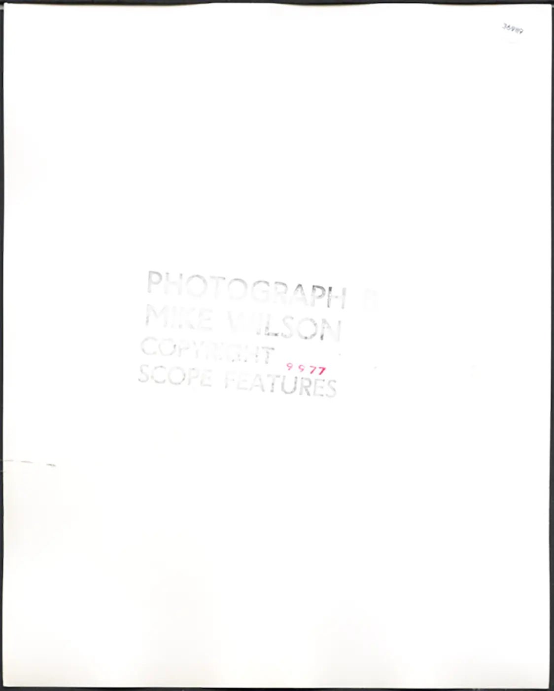 Modella anni 80 Ft 36989 - Stampa 20x25 cm - Farabola Stampa ai sali d'argento