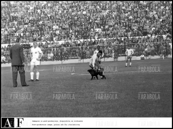 Mondiali di calcio in Cile, Brasile vs Inghilterra, 1962 - Farabola Immagine digitale