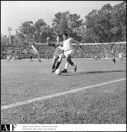 Mondiali di calcio in Cile, Brasile vs Spagna, 1962 - Farabola Immagine digitale