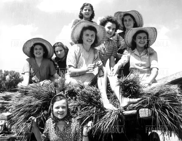 Mondine in una risaia, 1947 - Farabola Immagine digitale