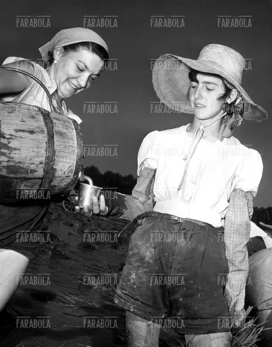 Mondine si riposano, anni 50 - Farabola Immagine digitale