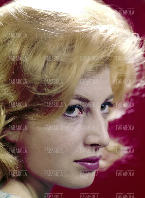 Monica Vitti, 1959 - Farabola Immagine digitale