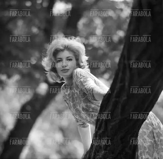Monica Vitti, Milano, 1960 - Farabola Immagine digitale
