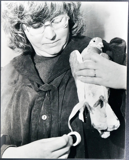 Mrs Penny con un passero Ft 35381 - Stampa 27x37 cm - Farabola Stampa ai sali d'argento