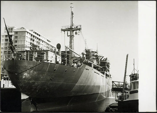 Nave cargo Ilya - Etchikov 1956 Ft 36977 - Stampa 13x18 cm - Farabola Stampa ai sali d'argento