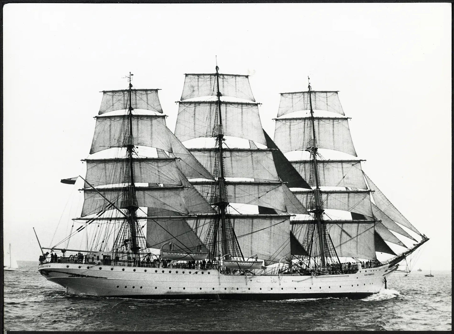 Nave - scuola Dar Pomorza anni 70 Ft 36231 - Stampa 24x18 cm - Farabola breadcrumbs : fotografie - vintage; foto - vintage - trasporti