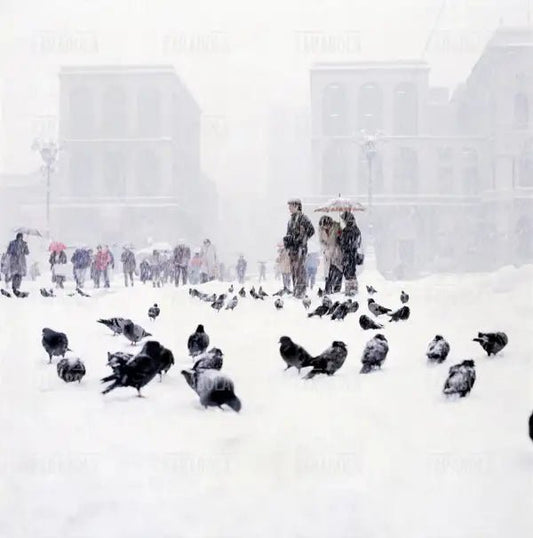 Nevicata a Milano, piazza del Duomo, 1985 - Farabola Immagine digitale