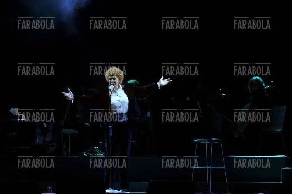 Ornella Vanoni, concerto in Duomo, 2008 - Farabola Immagine digitale
