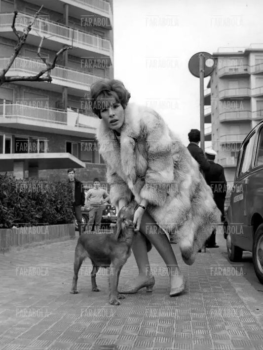 Ornella Vanoni, Festival di Sanremo, 1967 - Farabola Immagine digitale