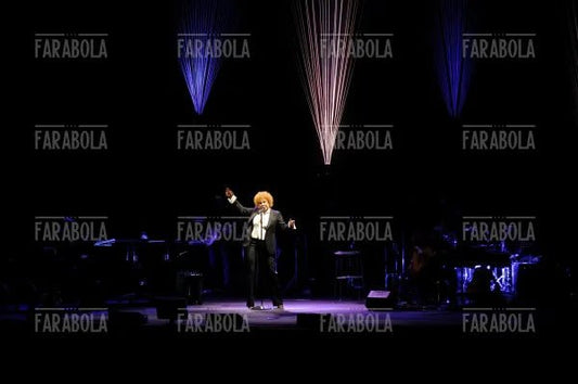Ornella Vanoni in concerto, Milano, 2009 - Farabola Immagine digitale