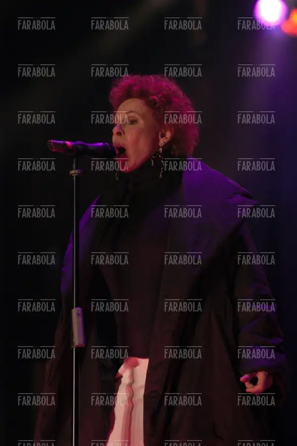 Ornella Vanoni, La città per cantare, Milano, 2003 - Farabola Immagine digitale