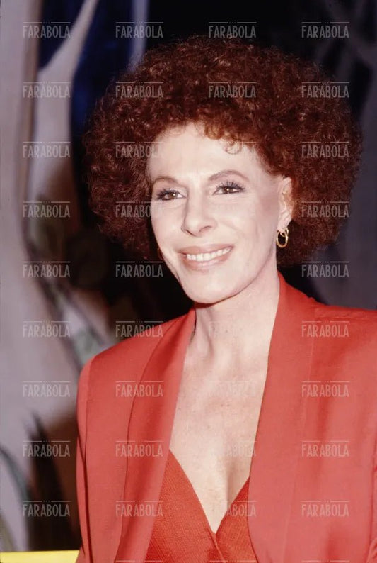Ornella Vanoni, Milano, anni 90 - Farabola Immagine digitale