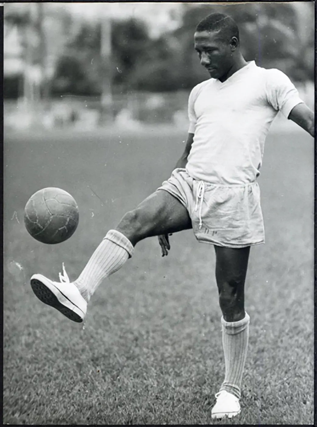Palmeiras Djalma Santos anni 60 Ft 5776 - Stampa 21x15 cm - Farabola Stampa ai sali d'argento