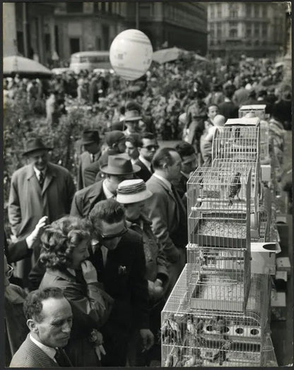 Pasqua in piazza Duomo Milano anni 60 Ft 3453 - Stampa 21x27 cm - Farabola Stampa ai sali d'argento