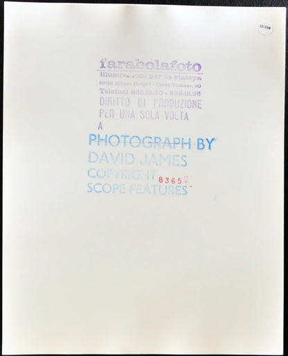 Penny Barnett Modella anni 80 Ft 35538 - Stampa 20x25 cm - Farabola Stampa ai sali d'argento