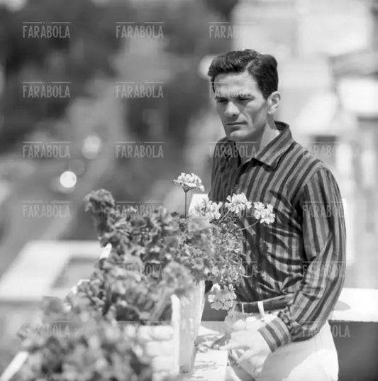 Pier Paolo Pasolini, Roma, 1960 - Farabola Immagine digitale