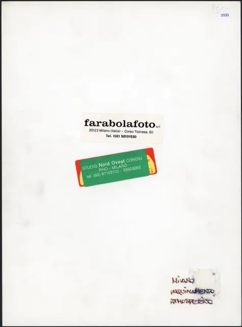 Proteste per inquinamento anni 90 Ft 3533 - Stampa 24x18 cm - Farabola Stampa ai sali d'argento