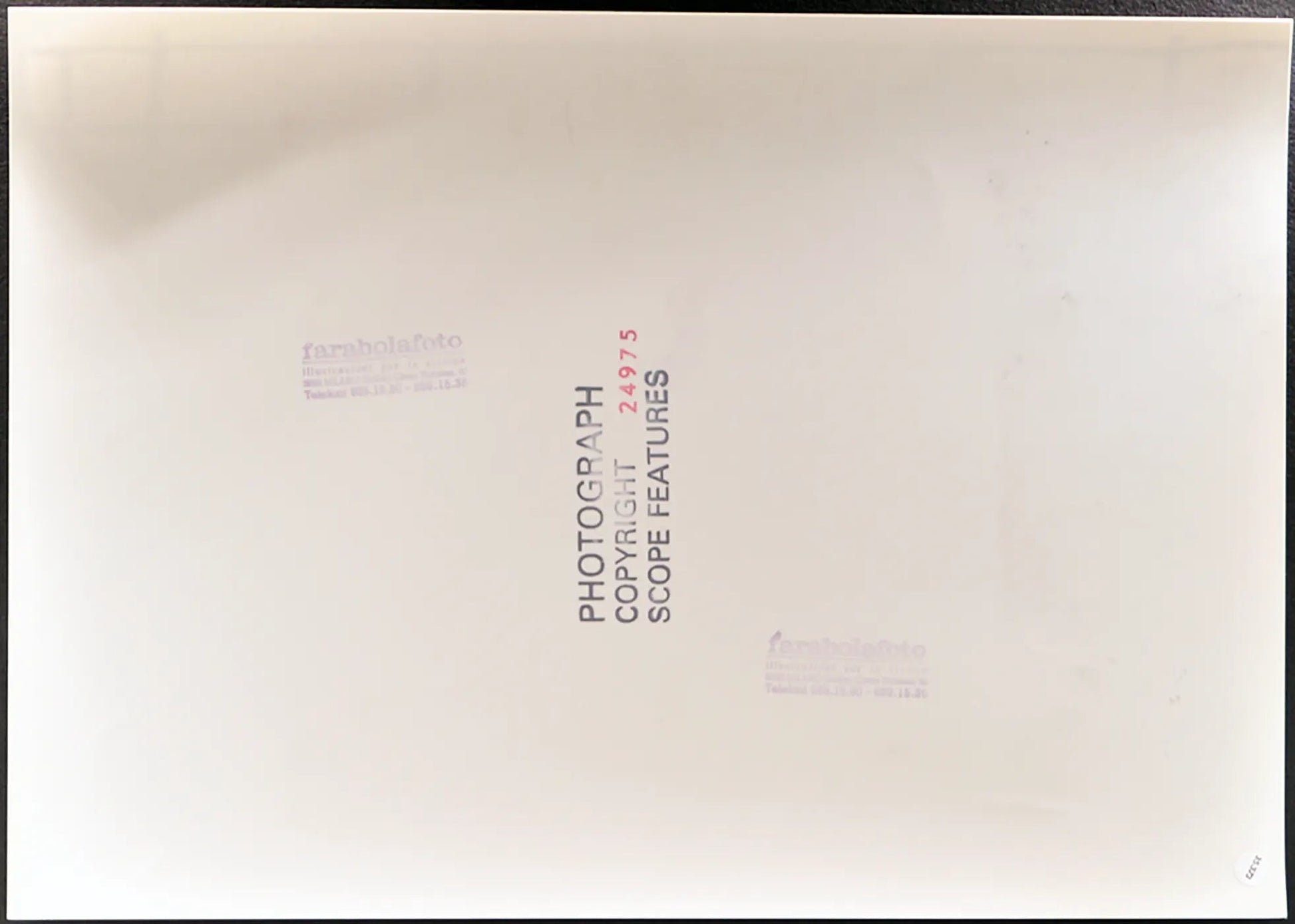 Puledri di razza Caspian Ft 35373 - Stampa 27x37 cm - Farabola Stampa ai sali d'argento