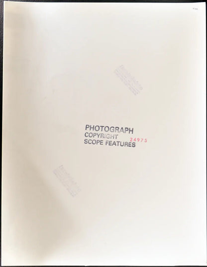 Puledro di razza Caspian Ft 35372 - Stampa 27x37 cm - Farabola Stampa ai sali d'argento