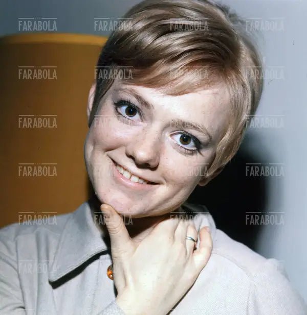 Rita Pavone, anni 60 - Farabola Immagine digitale