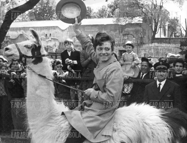Rita Pavone, Roma, 1964 - Farabola Immagine digitale