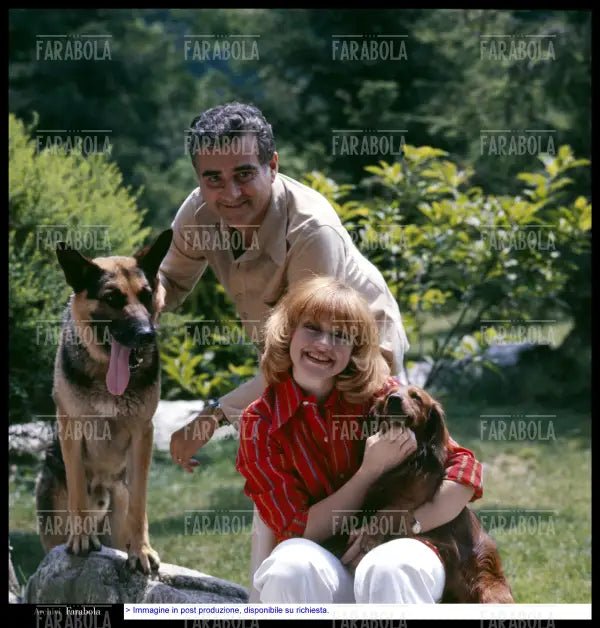 Rita Pavone, Teddy Reno e i loro cani, anni 70 - Farabola Immagine digitale