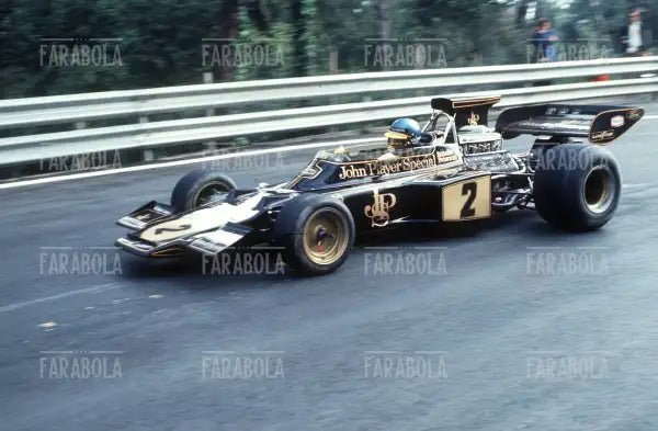 Ronnie Peterson su Lotus Ford Cosworth, 1973 - Farabola Immagine digitale