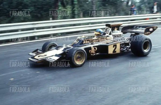 Ronnie Peterson su Lotus Ford Cosworth, 1973 - Farabola Immagine digitale