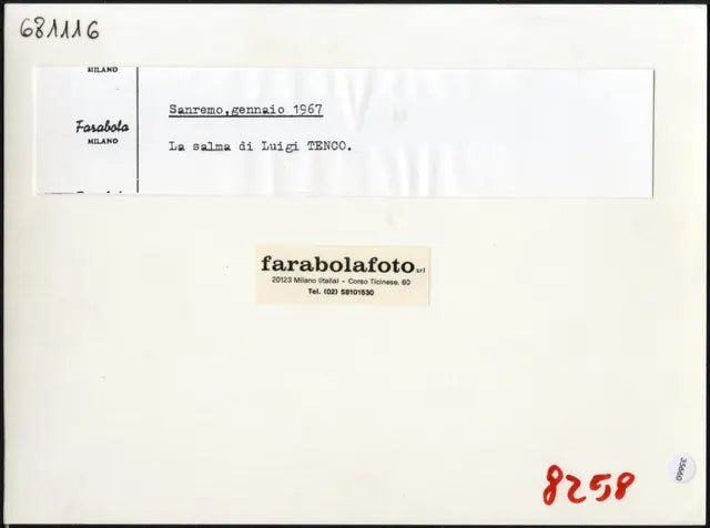 Salma Luigi Tenco 1967 Ft 35660 - Stampa 24x18 cm - Farabola Stampa ai sali d'argento (anni 90)