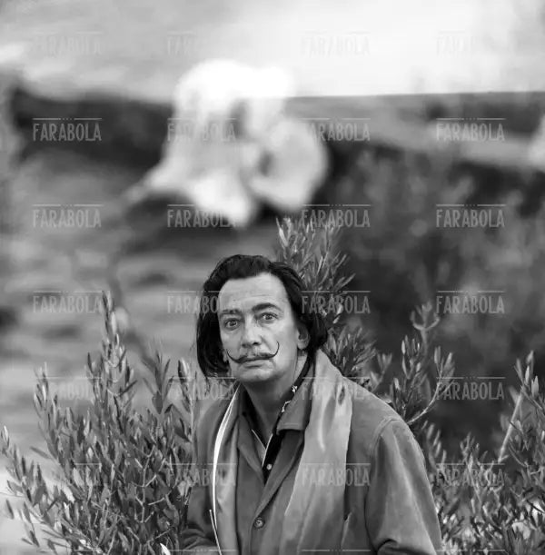 Salvador Dalì a Port Lligat, 1957 - Farabola Immagine digitale