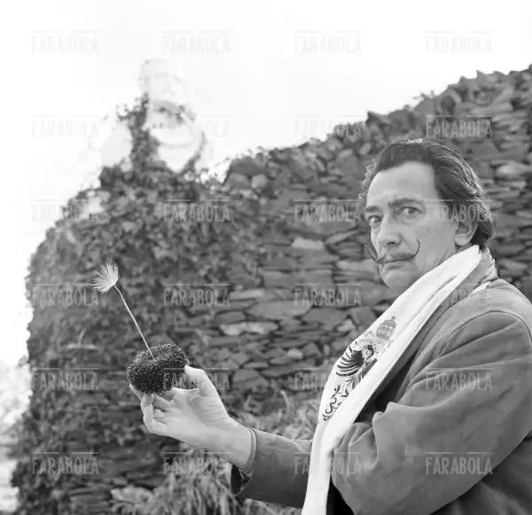 Salvador Dalì a Port Lligat, 1957 - Farabola Immagine digitale
