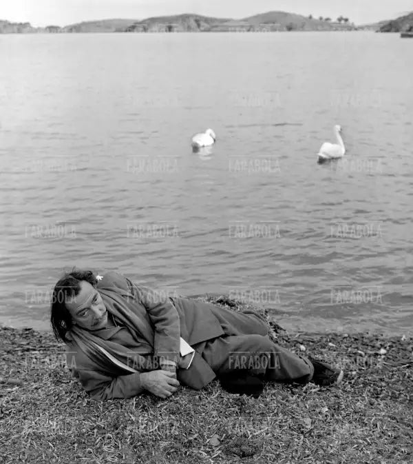 Salvador Dalì a Port Lligat, 1957 - Farabola Immagine digitale
