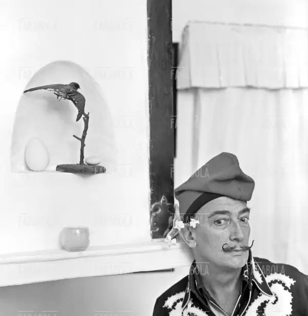 Salvador Dalì a Port Lligat, 1957 - Farabola Immagine digitale