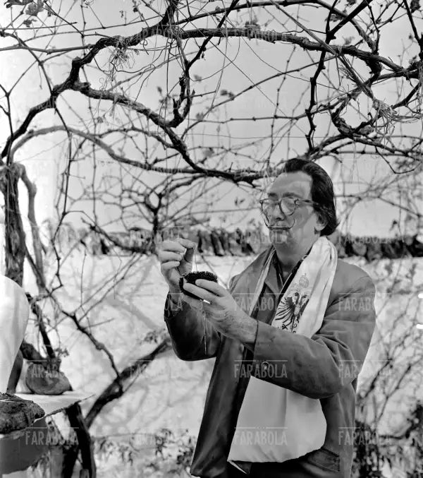 Salvador Dalì a Port Lligat, 1957 - Farabola Immagine digitale