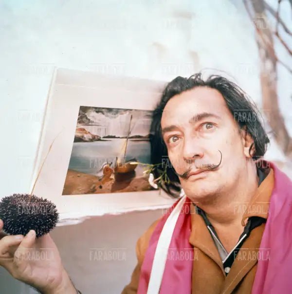 Salvador Dalì a Port Lligat, 1957 - Farabola Immagine digitale