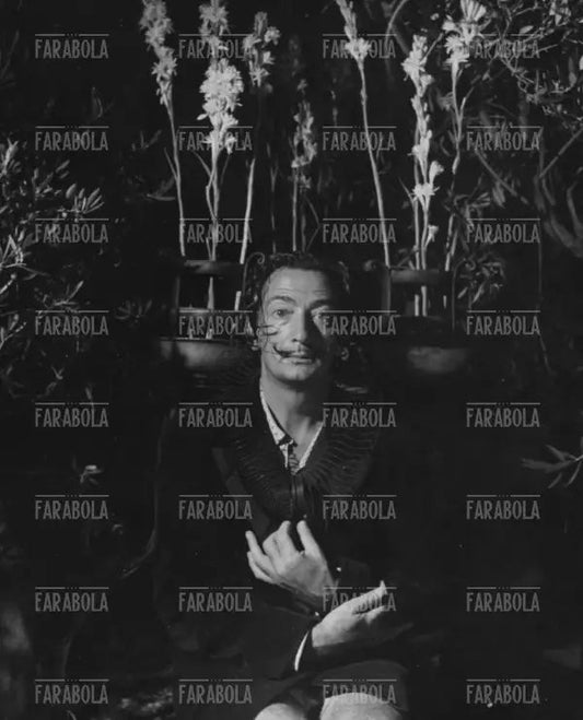 Salvador Dalì, Cadaques, anni 50 - Farabola Immagine digitale