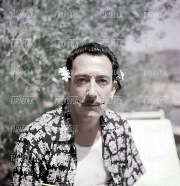 Salvador Dalì, Port Lligat, 1957 - Farabola Immagine digitale