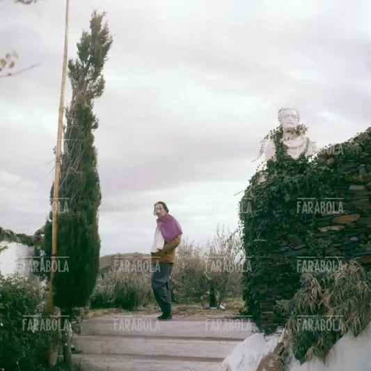 Salvador Dalì, Port Lligat, 1957 - Farabola Immagine digitale