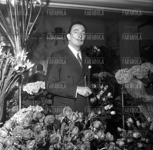 Salvador Dalì, Roma, 1954 - Farabola Immagine digitale